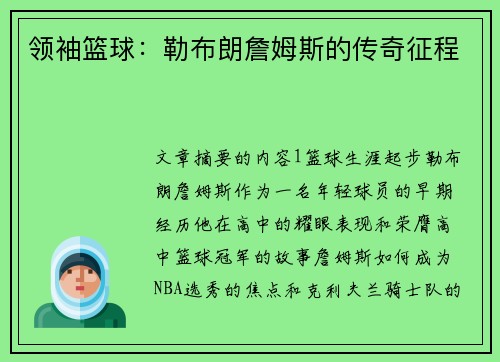 领袖篮球：勒布朗詹姆斯的传奇征程
