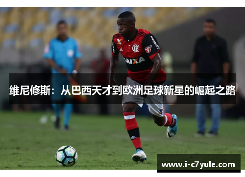 维尼修斯：从巴西天才到欧洲足球新星的崛起之路